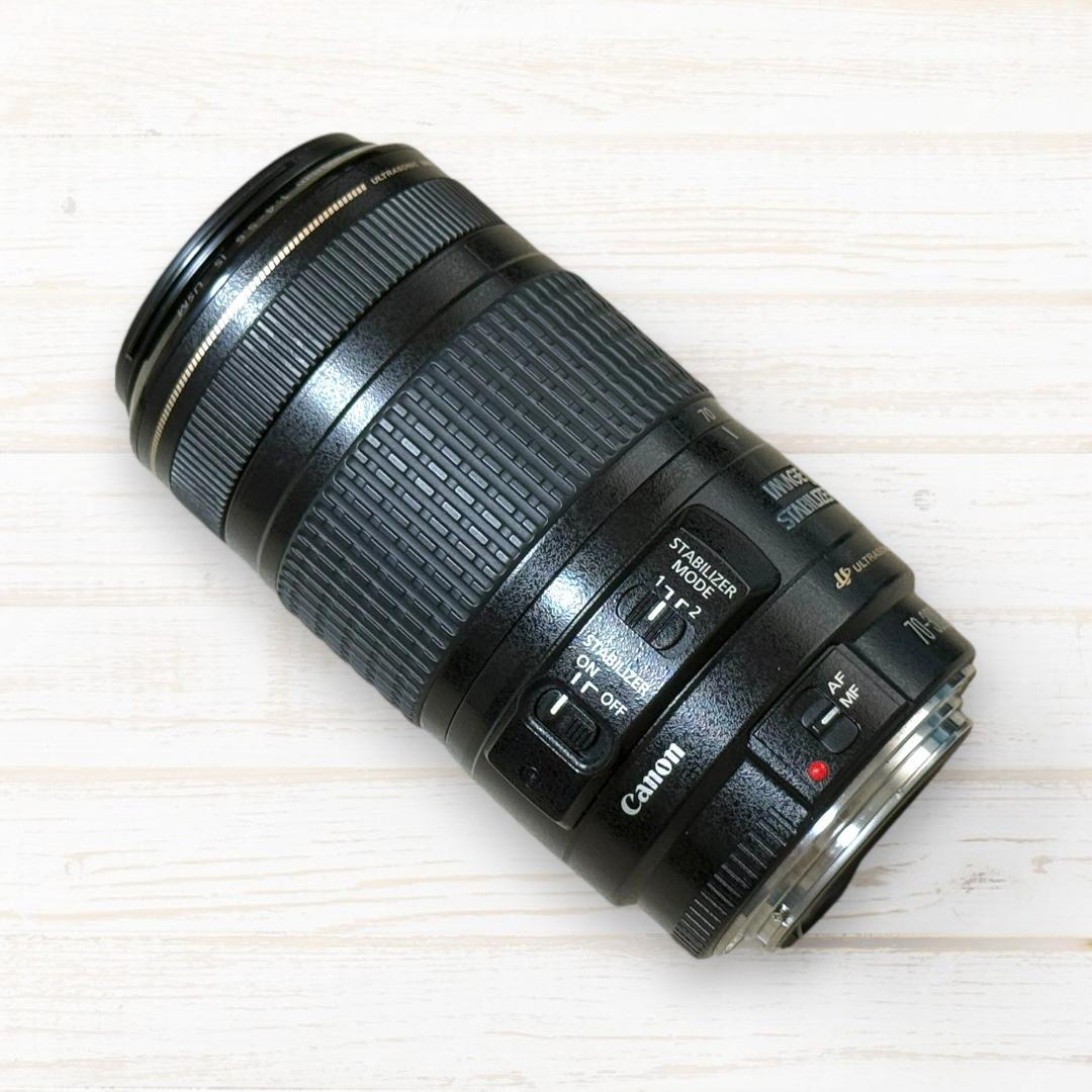 Canon ズームレンズ EF 70-300mm IS USM #118