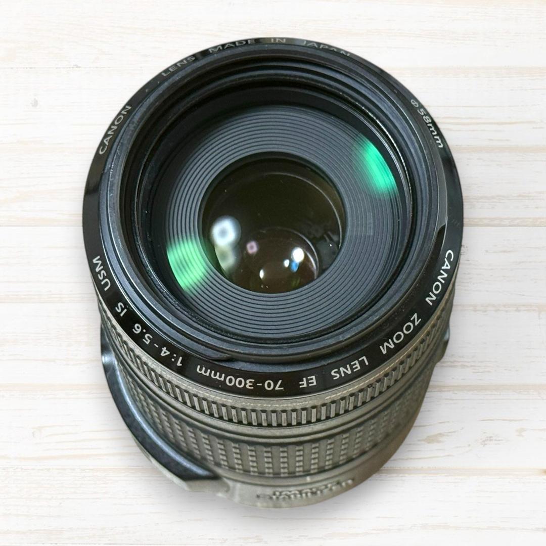 Canon ズームレンズ EF 70-300mm IS USM #118