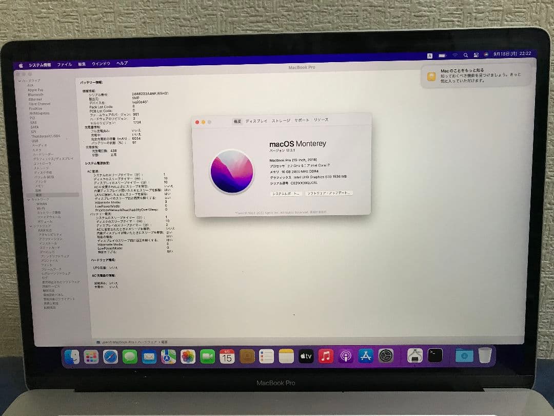 MacBook本体 Apple A1990 (2018) i7-8750H 16GB SSD256G