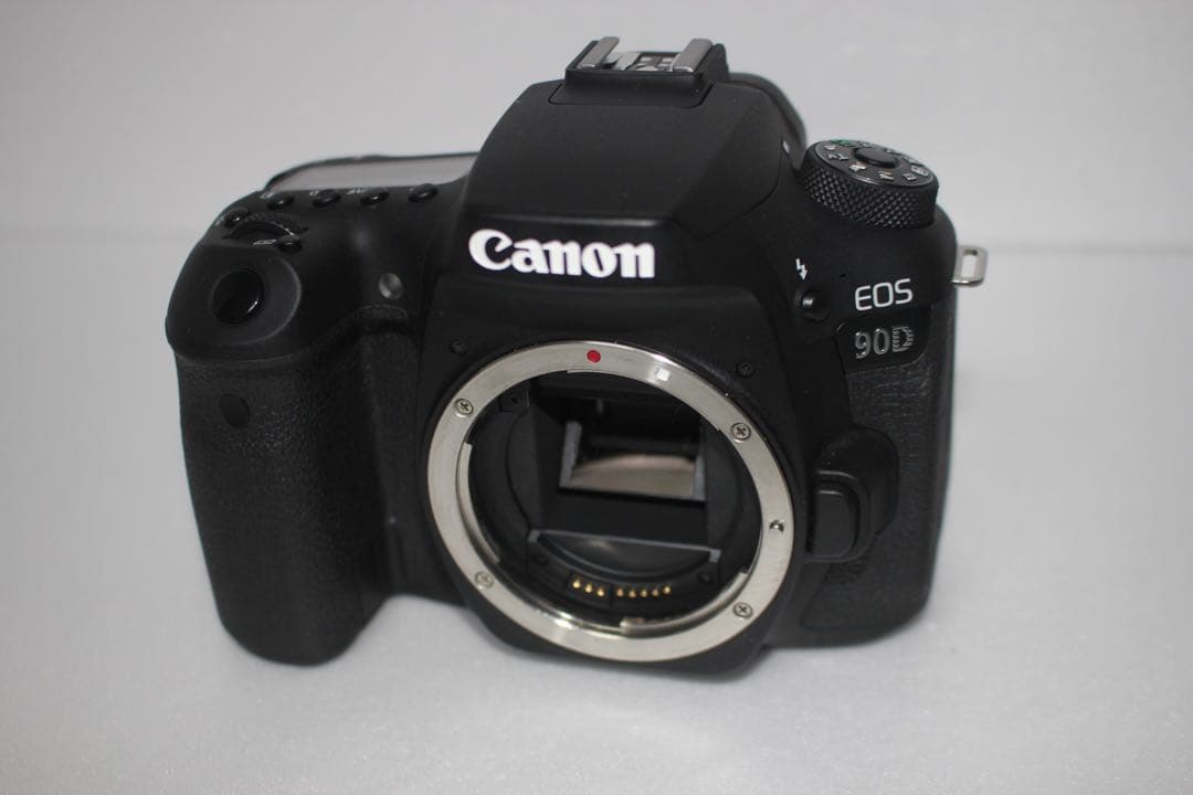 手ぶれ補正付き/Canon EOS 90D標準&望遠ダブルレンズセット