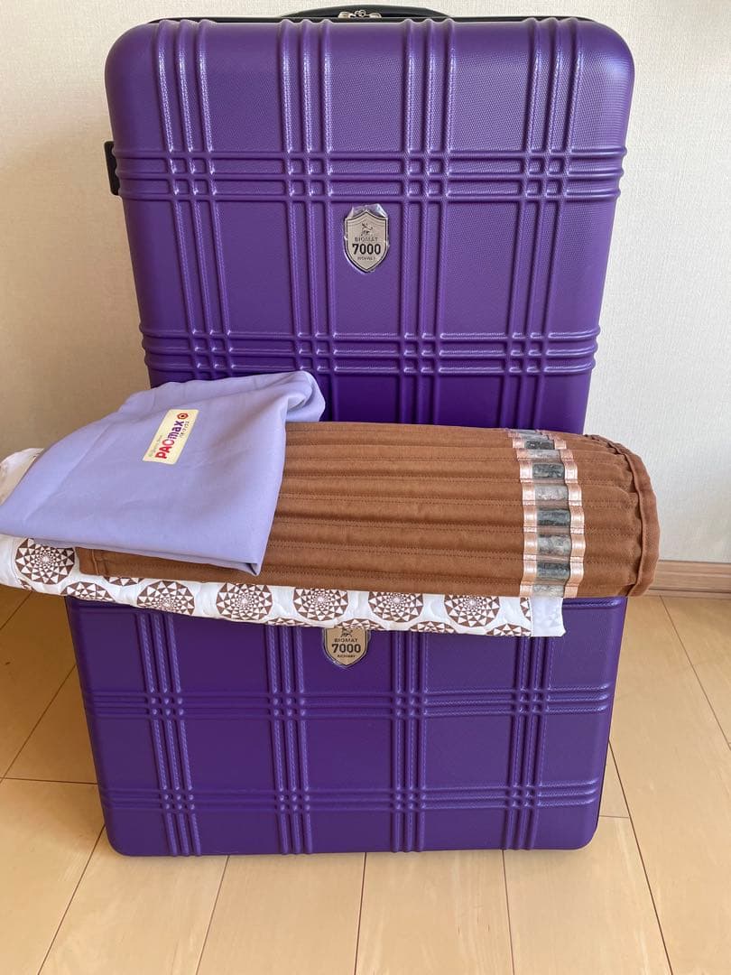 リッチウェイバイオマット　 7000mx 2点セット　シングルマット&ピロー