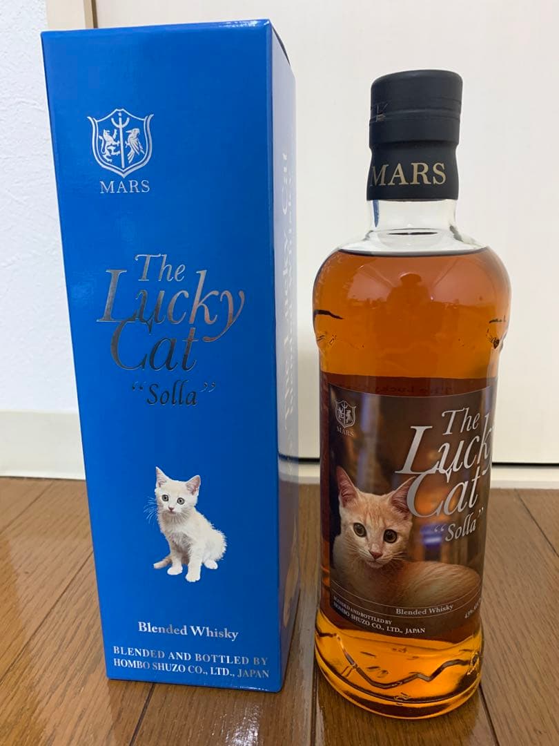 ザ　ラッキーキャット　ソラ