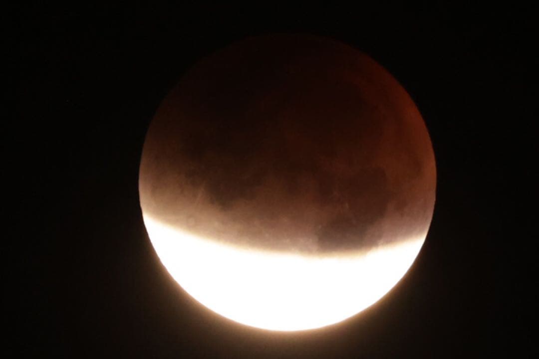 CANON キヤノン EF 100-400mm F4.5-5.6L IS II