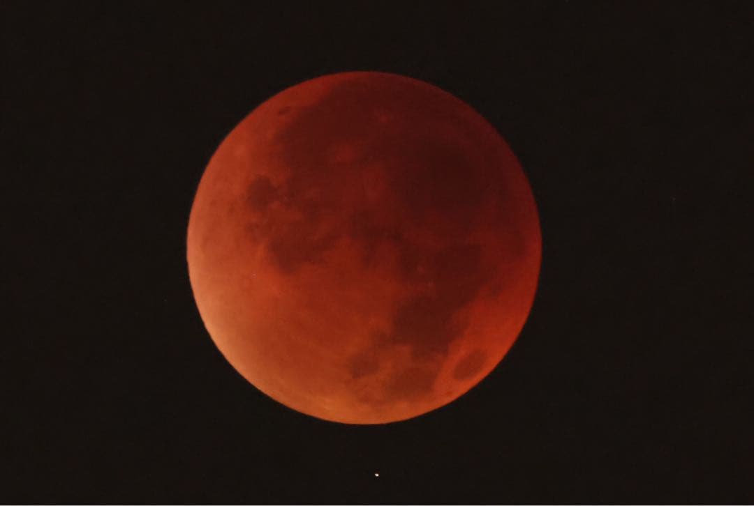 CANON キヤノン EF 100-400mm F4.5-5.6L IS II