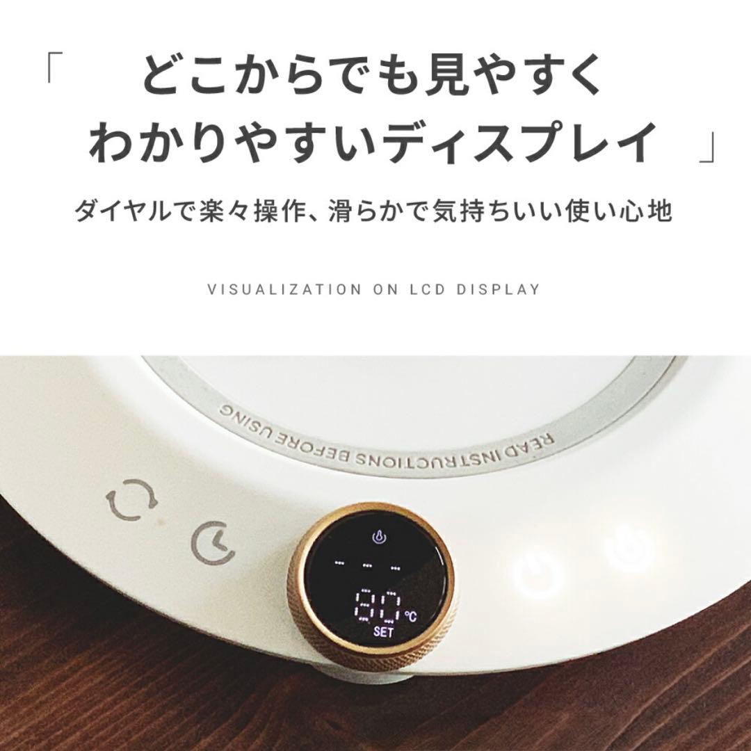 EPEIOS 電気ケトル ドリップケトル1 ℃単位温度調節 保温 急速沸騰