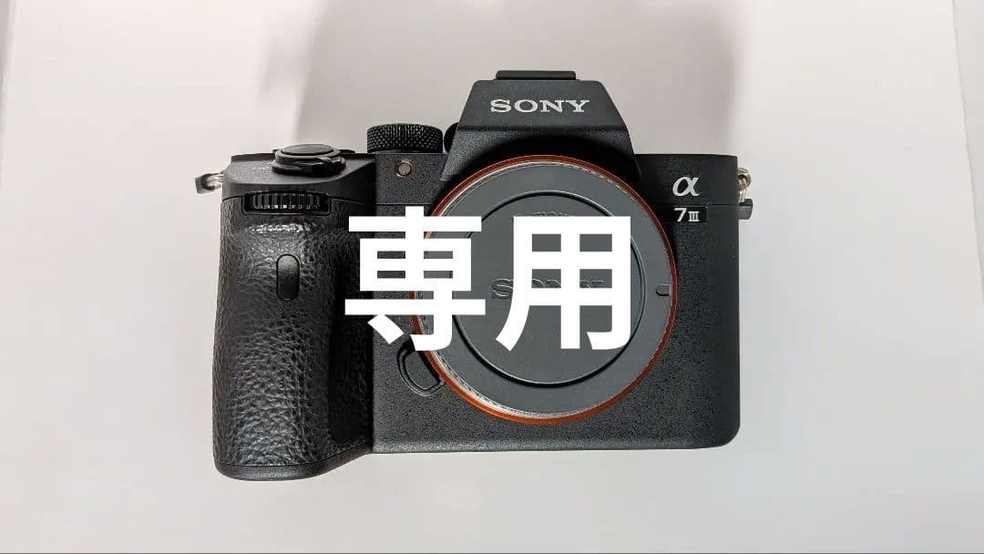 【ガラル・ポニータ様】専用 SONY α7 III シャッター回数1500回