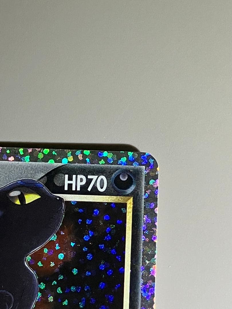 ブラッキー　⭐︎