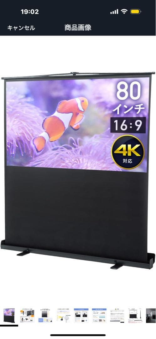 【限定特価】イーサプライ プロジェクタースクリーン 80インチ 自立式