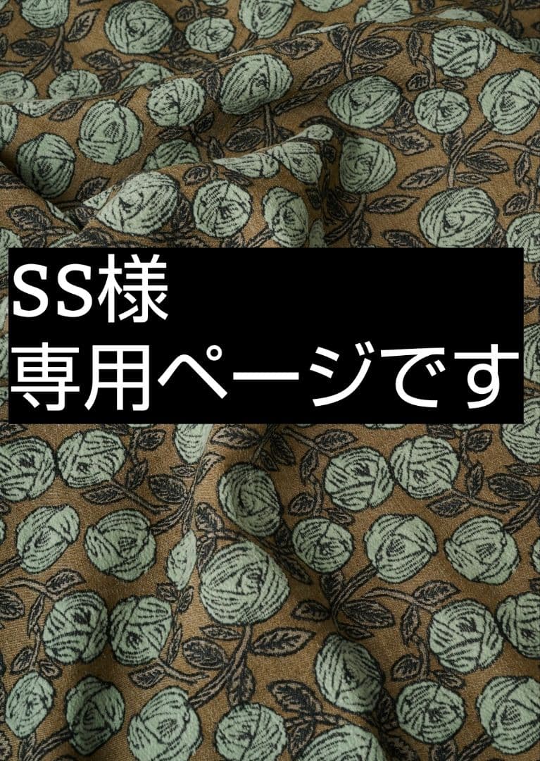 SSページです