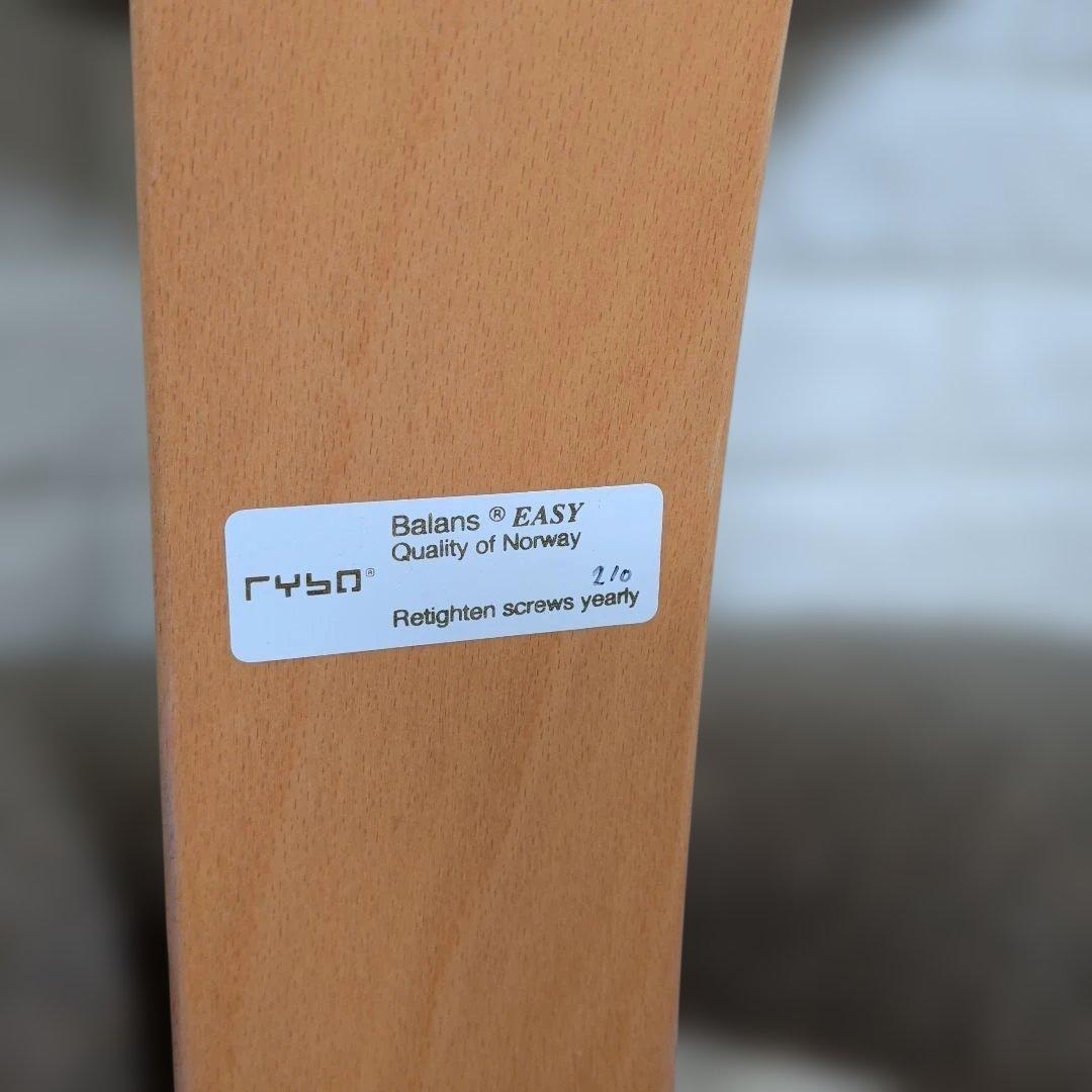 ②Rybo社製 Balans®EASY バランスイージーチェア