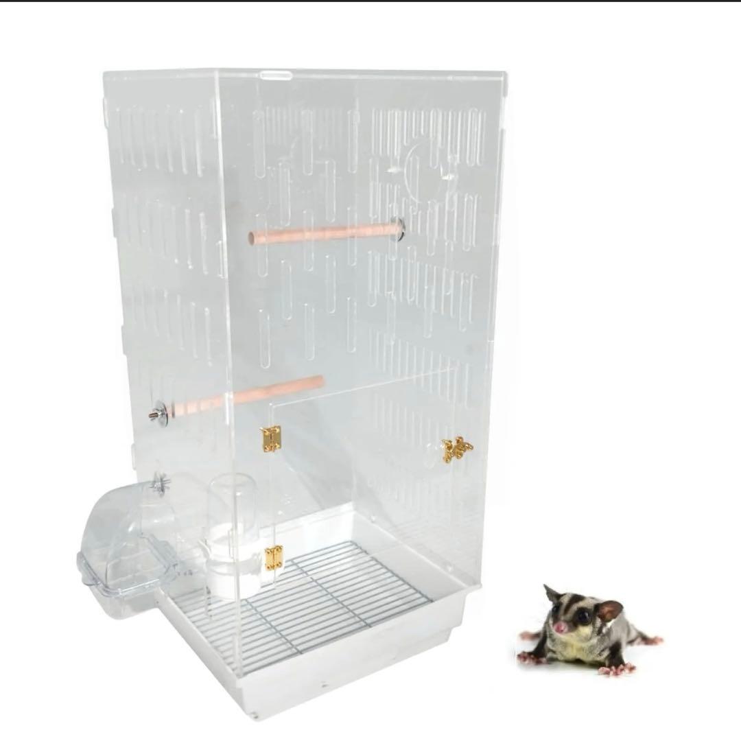 DESIGN MINORITY ケージ アクリル 68cm フクロモモンガ