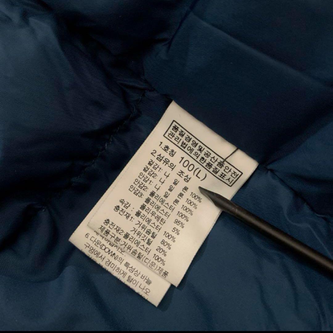 Ｌノースフェイスネイビー紺ダッフルグースダウンジャケットパーカー
