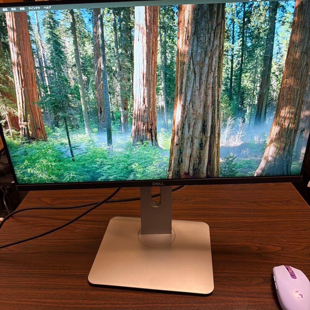 DELL S2421HN 23.8インチゲーミングモニター本体