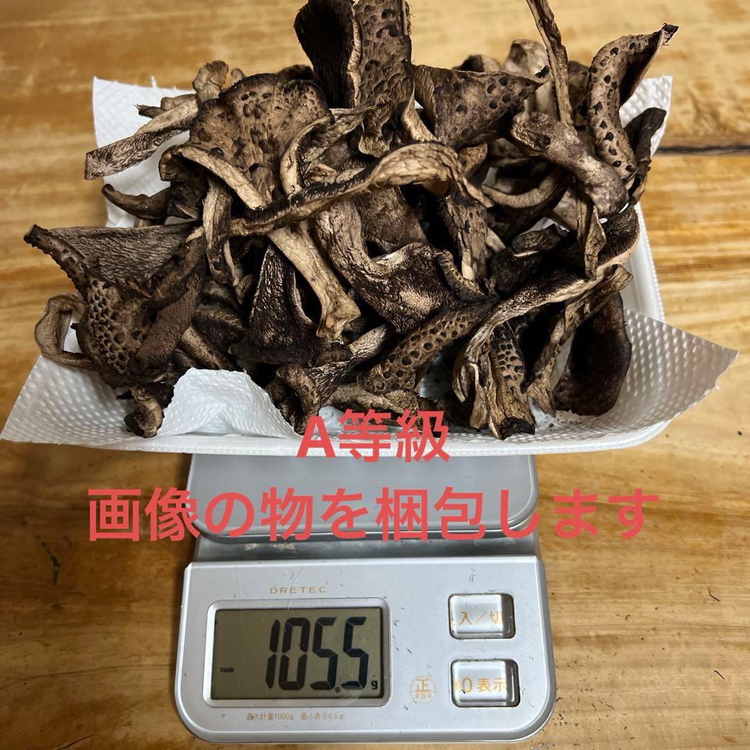香茸　乾燥　200g以上　A等級　①