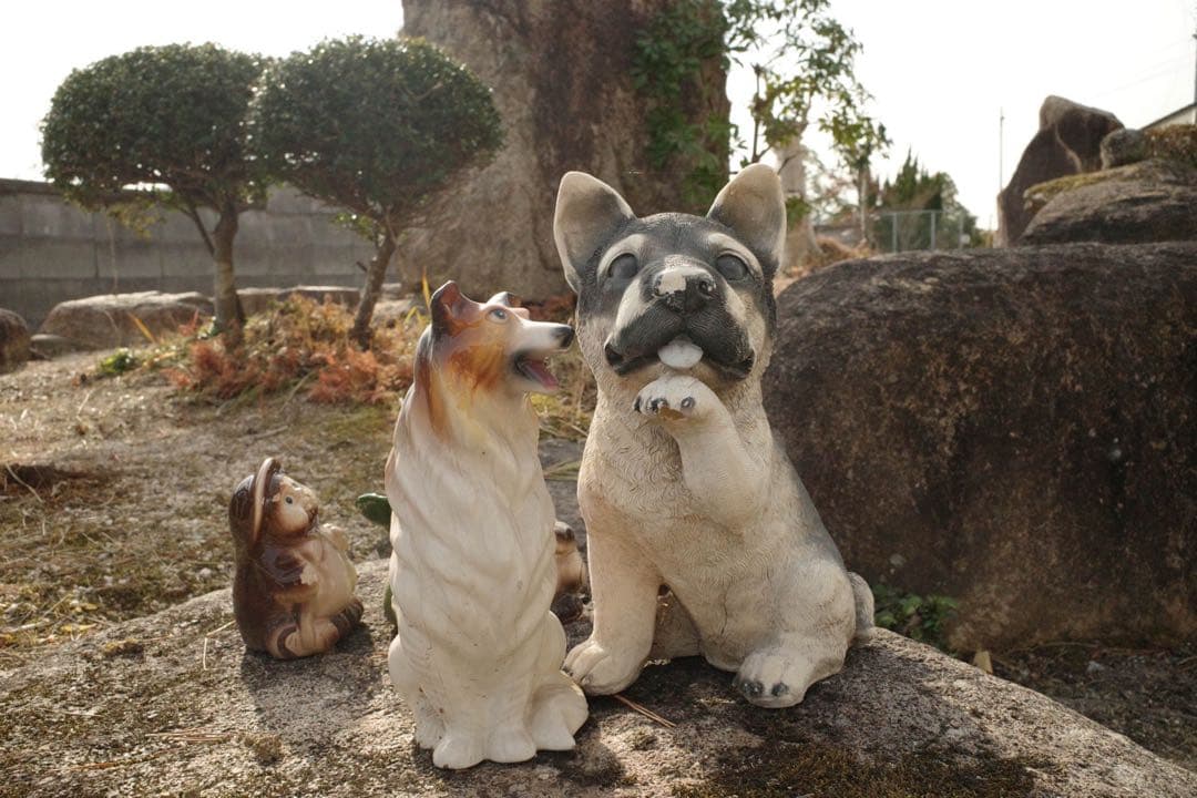 【人気モデル】RICOH GR Ⅲ 付属品充実 持ち運びケース付 高性能