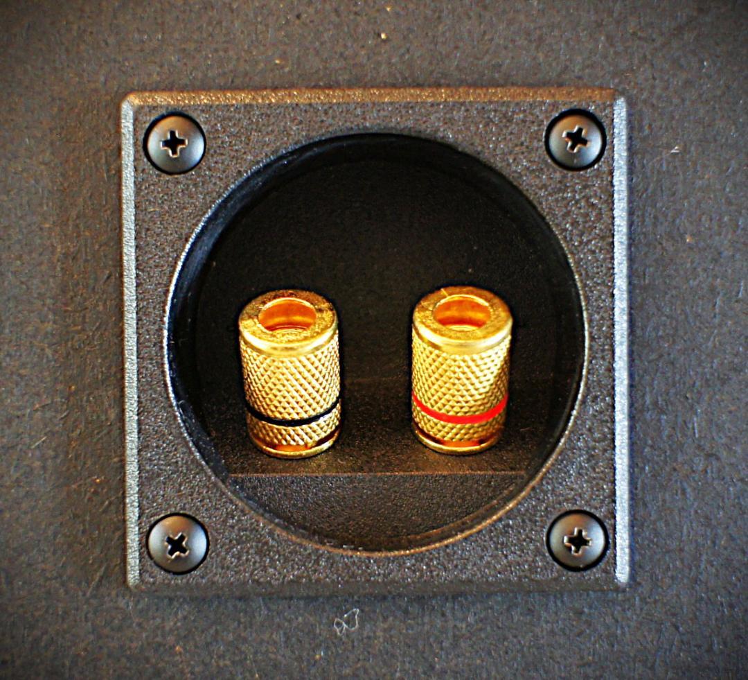 KENWOODケンウッドROXY DG1スピーカー　インシュレータ付