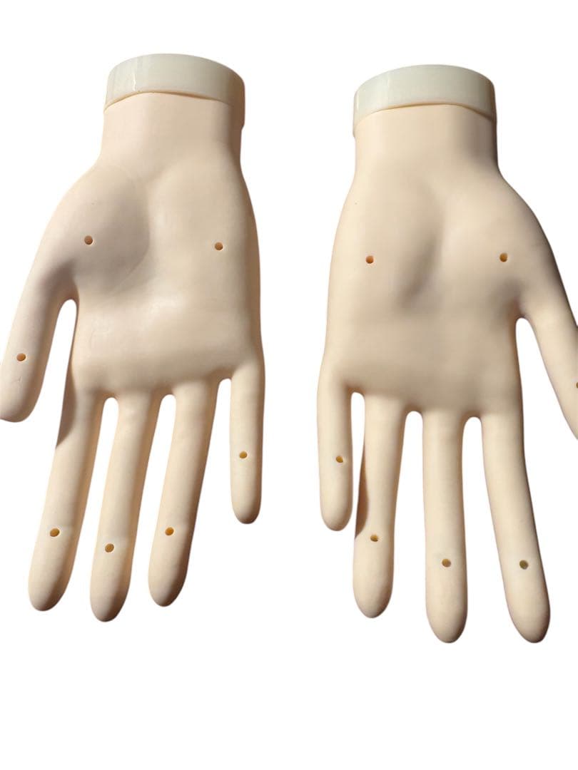 【美品】ネイリスト技能検定試験モデルハンド JNEC認定モデルハンド（両手）