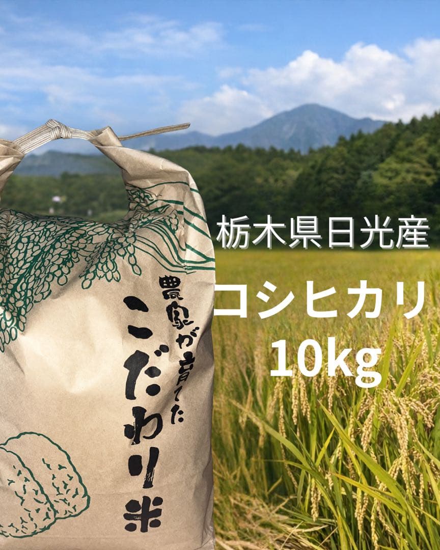 【令和7年産】栃木県日光市産 コシヒカリ 10kg（白米）産地直送 注文後精米！