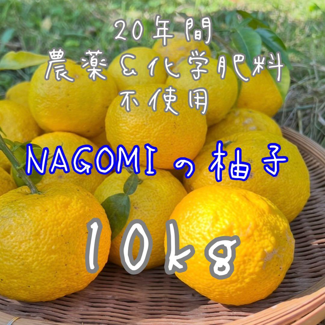 20年間農薬＆化学肥料不使用のNAGOMIの柚子10kg