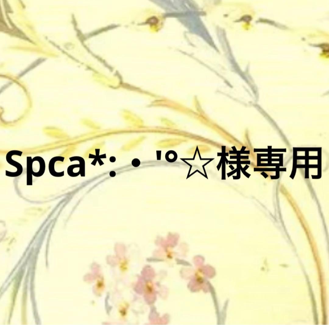 Spca*:・'°☆品