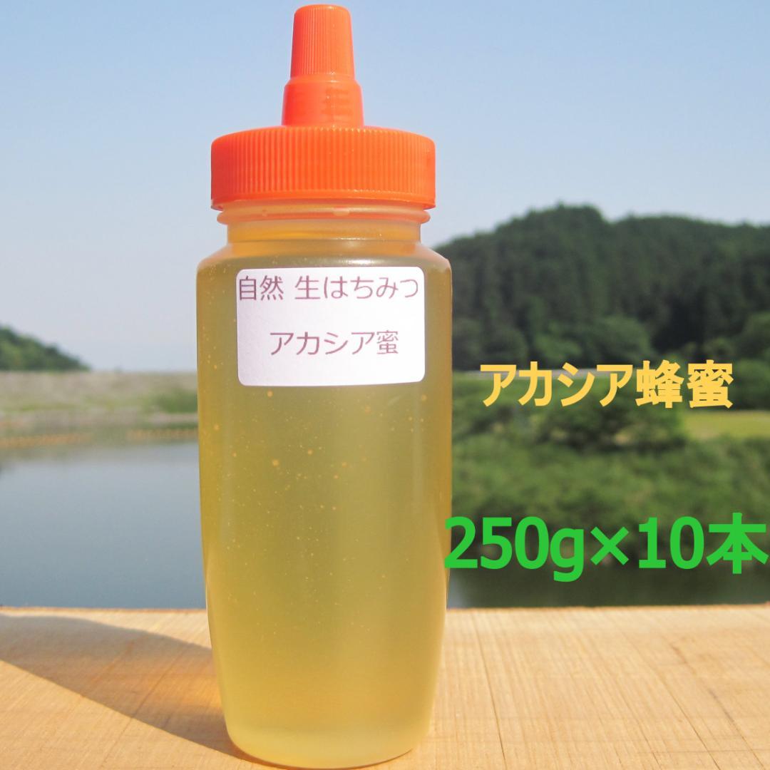 ☪️アカシア蜜１０本　生はちみつ　自家製蜂蜜