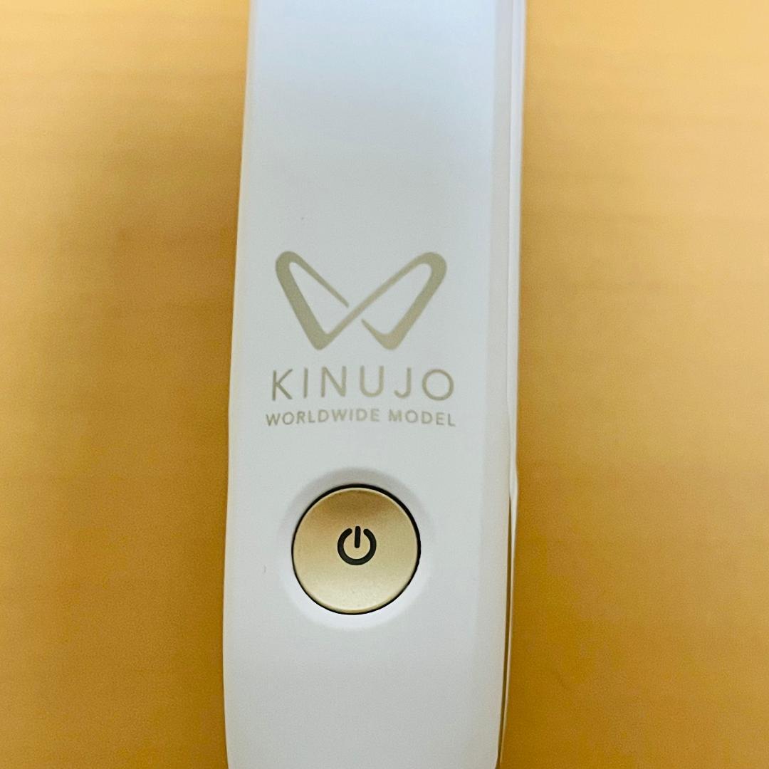 【良品】KINUJO W DS100　海外対応　ストレートヘアアイロン　絹女