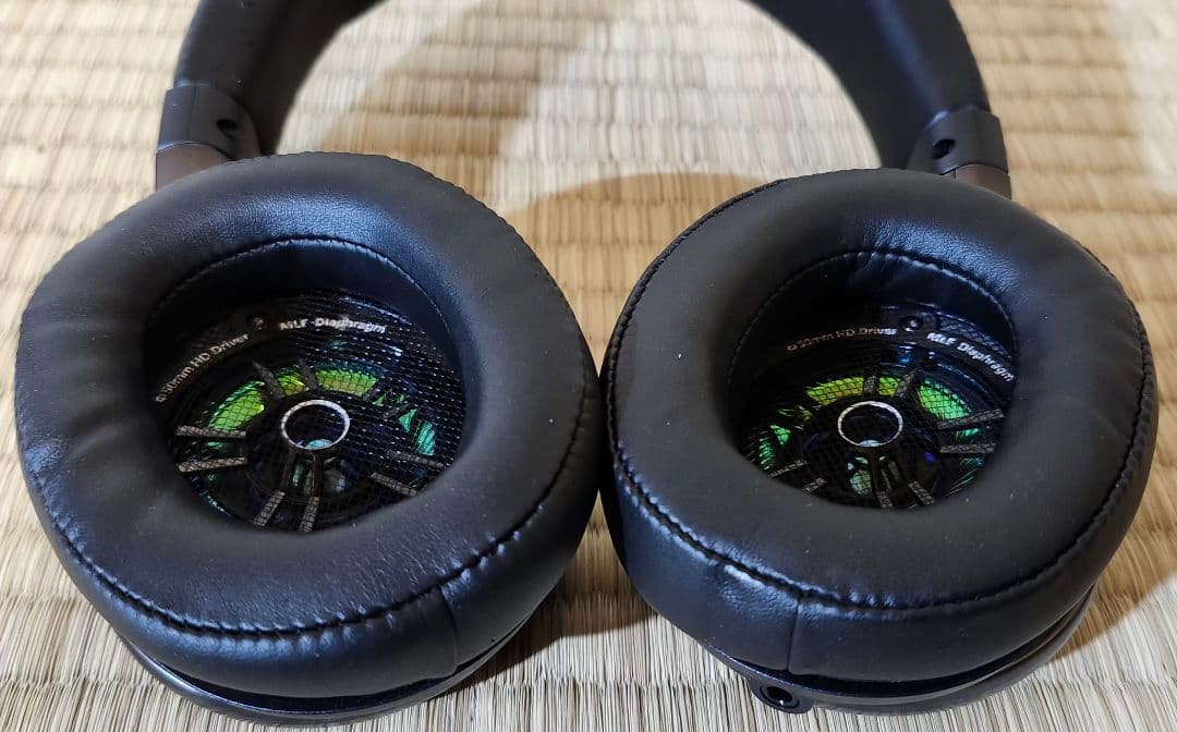 Panasonic RP-HD10【動作確認済み】