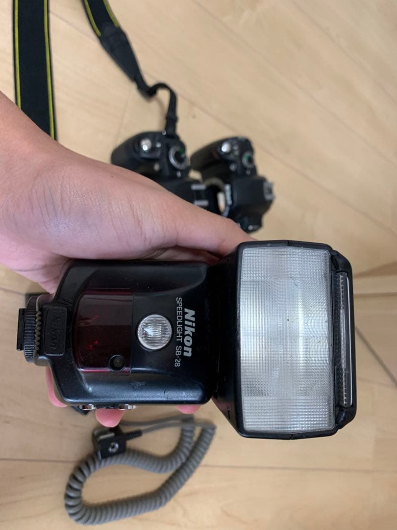 Nikon D3100 と Nikon D40