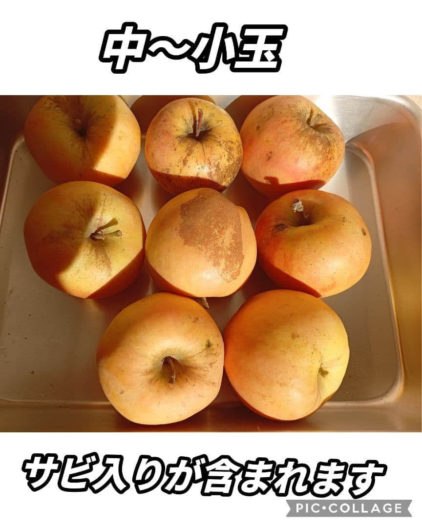 けんぼん　りんご詰め合わせ9キロ