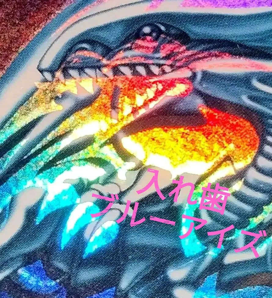 秘蔵 ホイル エラー 初期 ブルーアイズ 遊戯王 親知らず 入れ歯