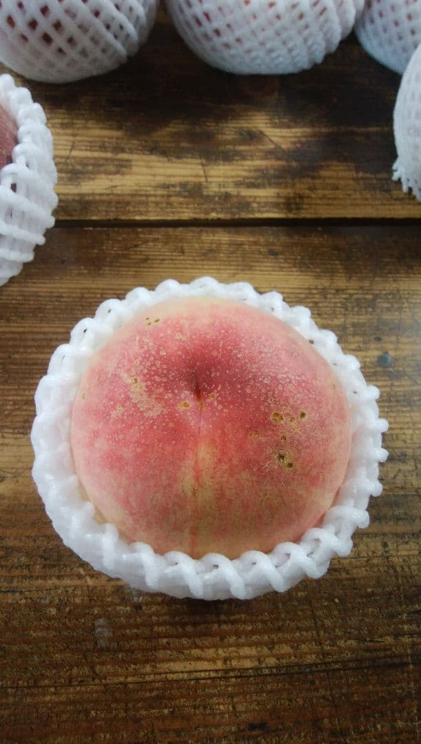 せいさん専用　特大　桃　さくら白桃　わけあり　10kg