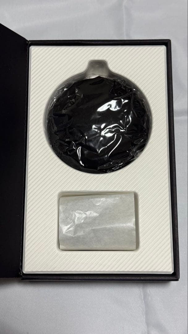 final E4000 有線カナル型イヤホン