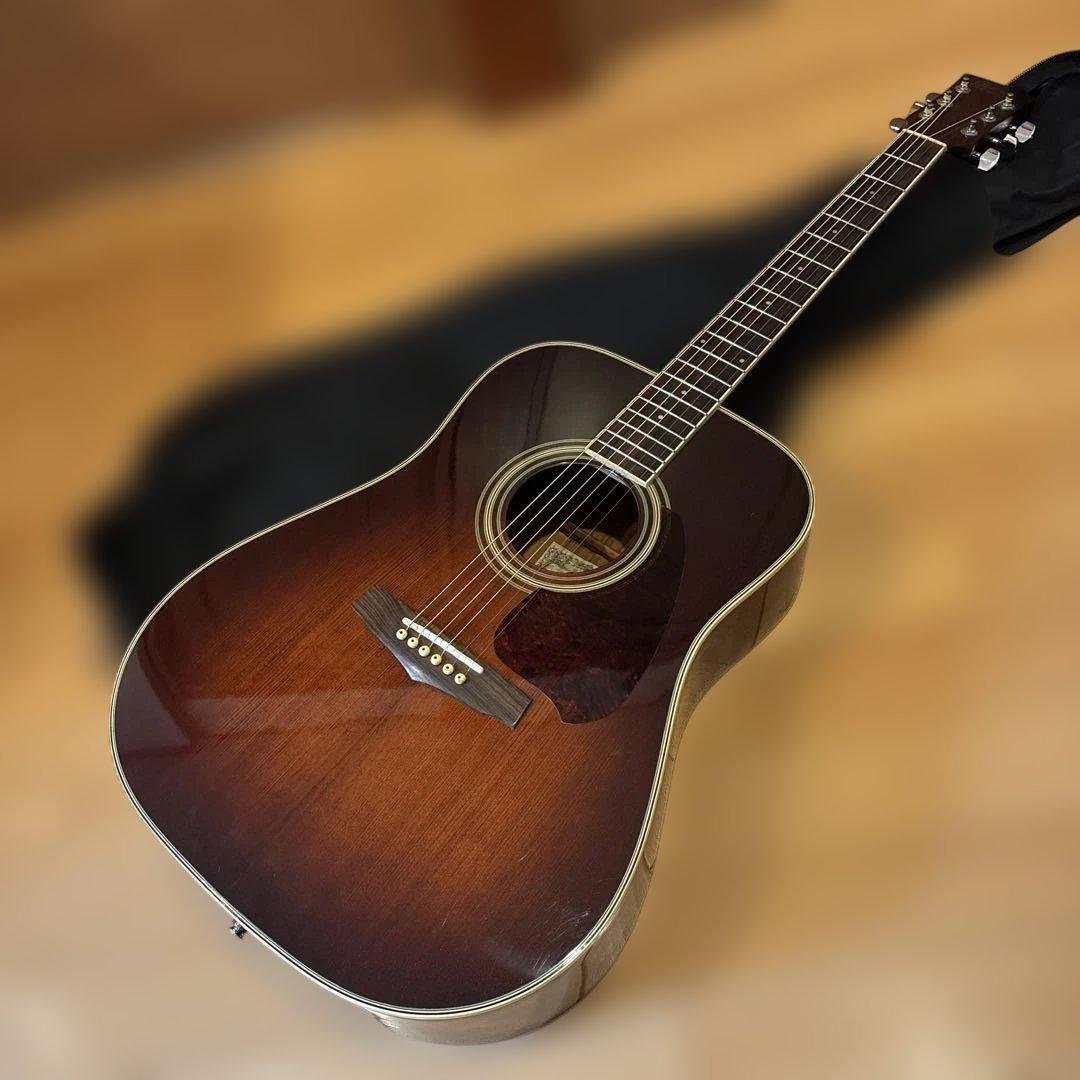 Ibanez エレアコ ソフトケース付 新品弦張替済