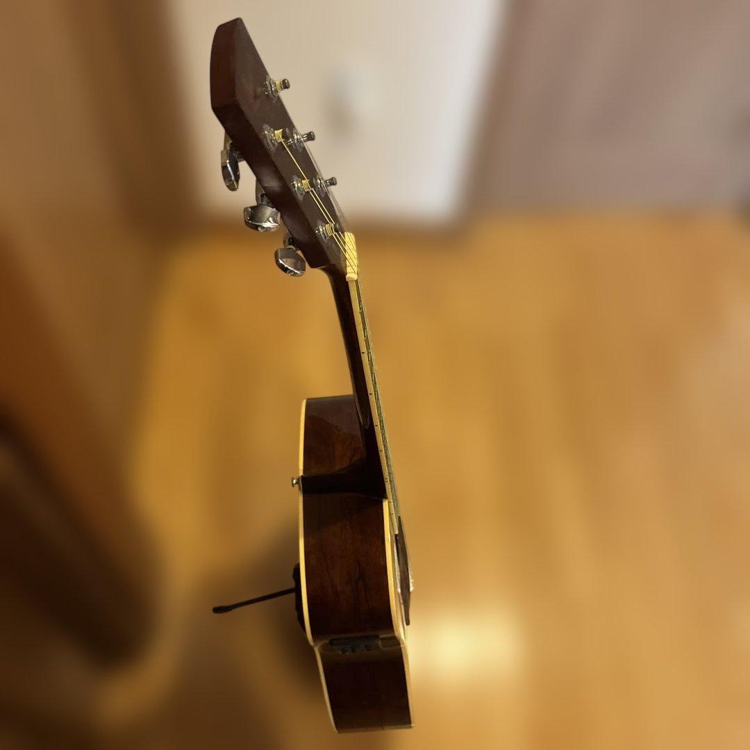 Ibanez エレアコ ソフトケース付 新品弦張替済