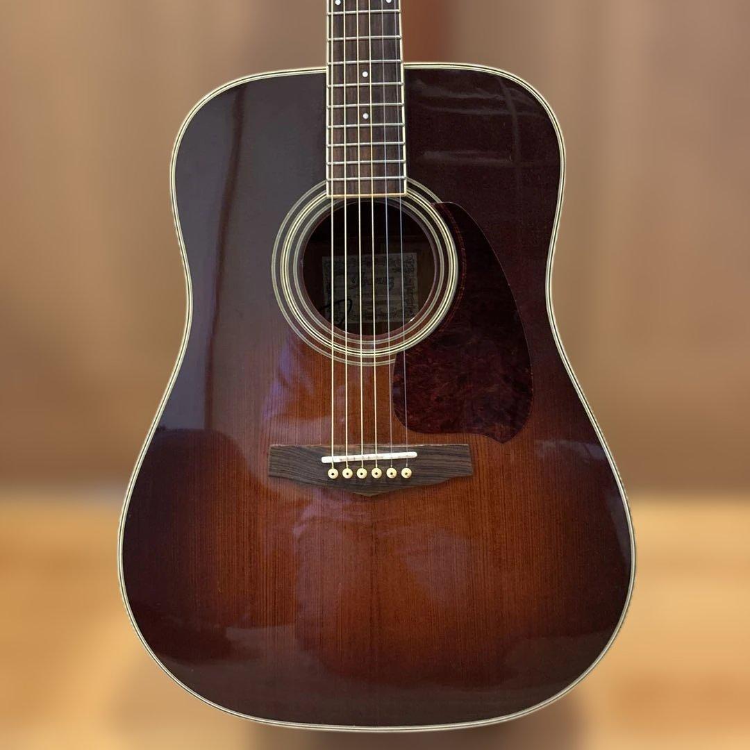 Ibanez エレアコ ソフトケース付 新品弦張替済