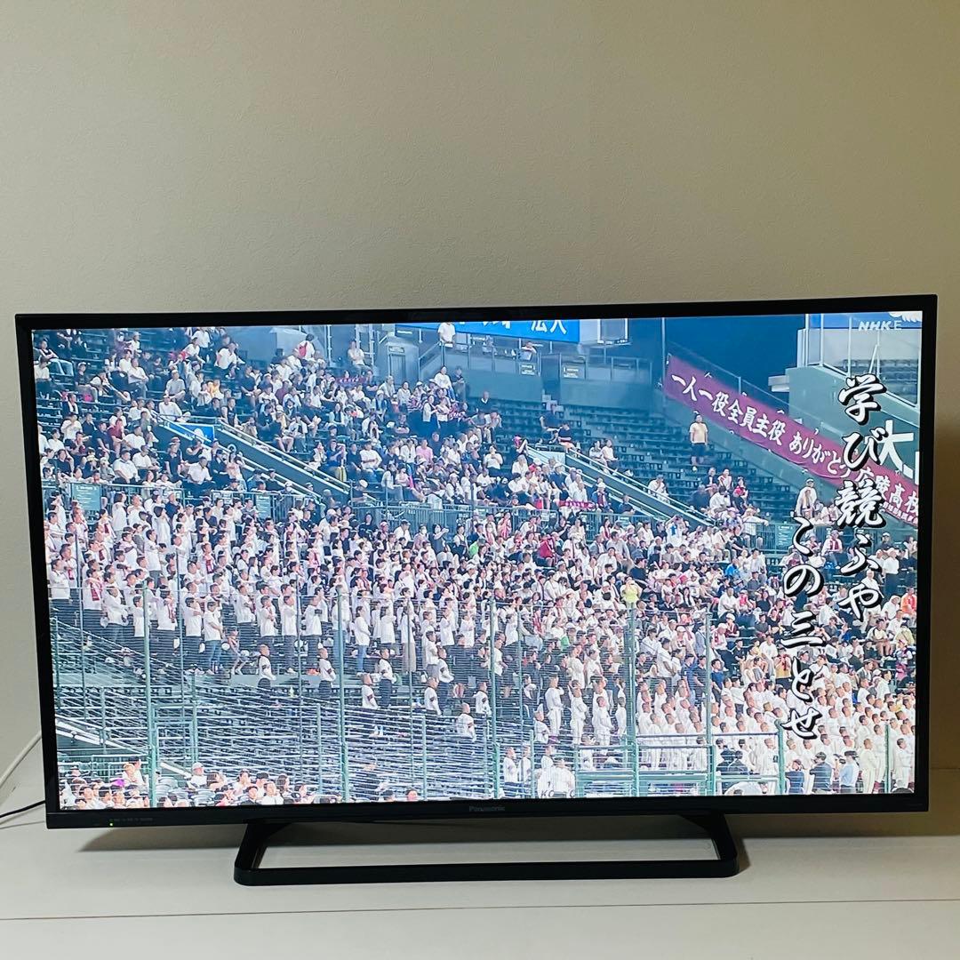 Panasonic TH-43D300 43インチ ハイビジョン液晶テレビ