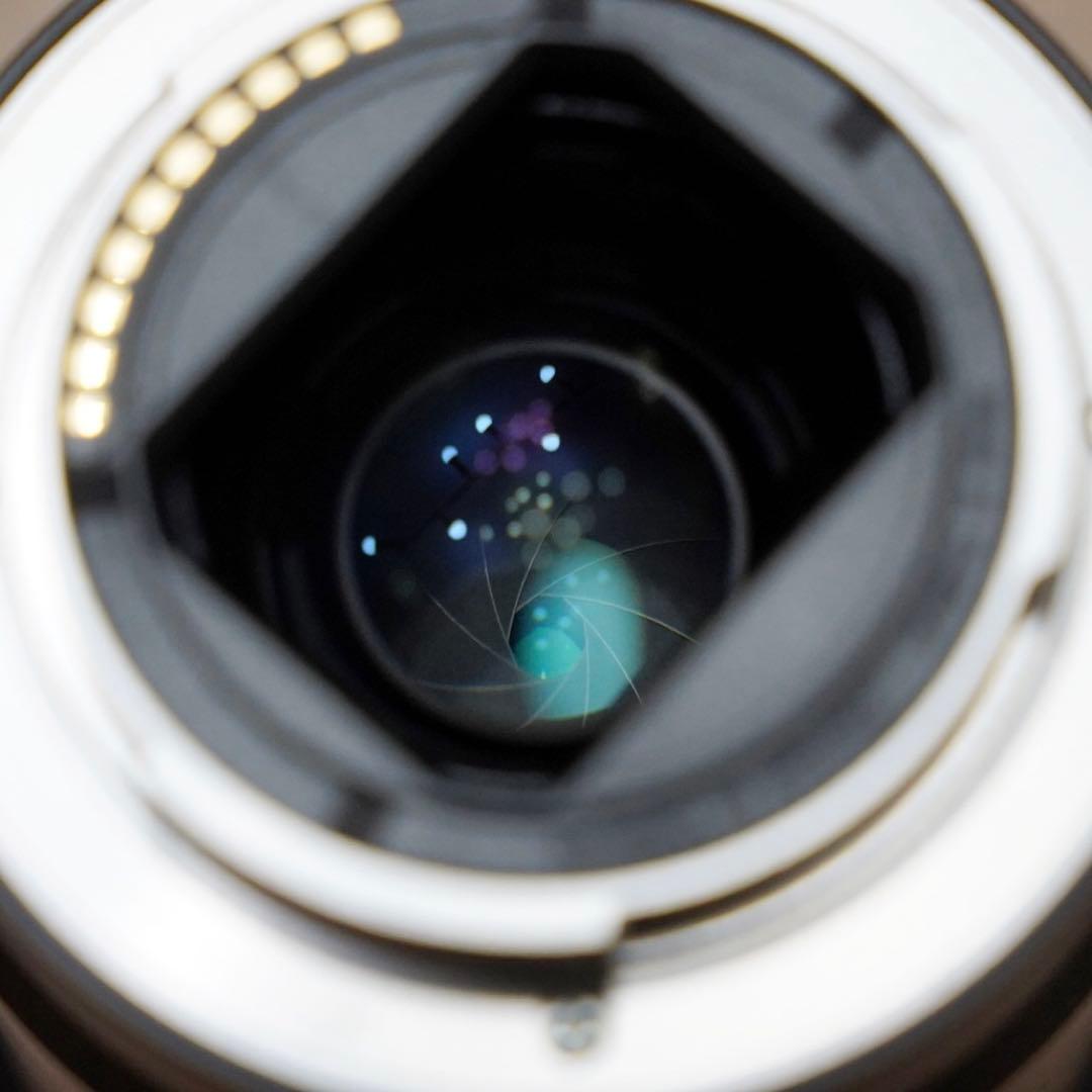 【最終値下げ】Sonnar T* FE 55mm F1.8ZA