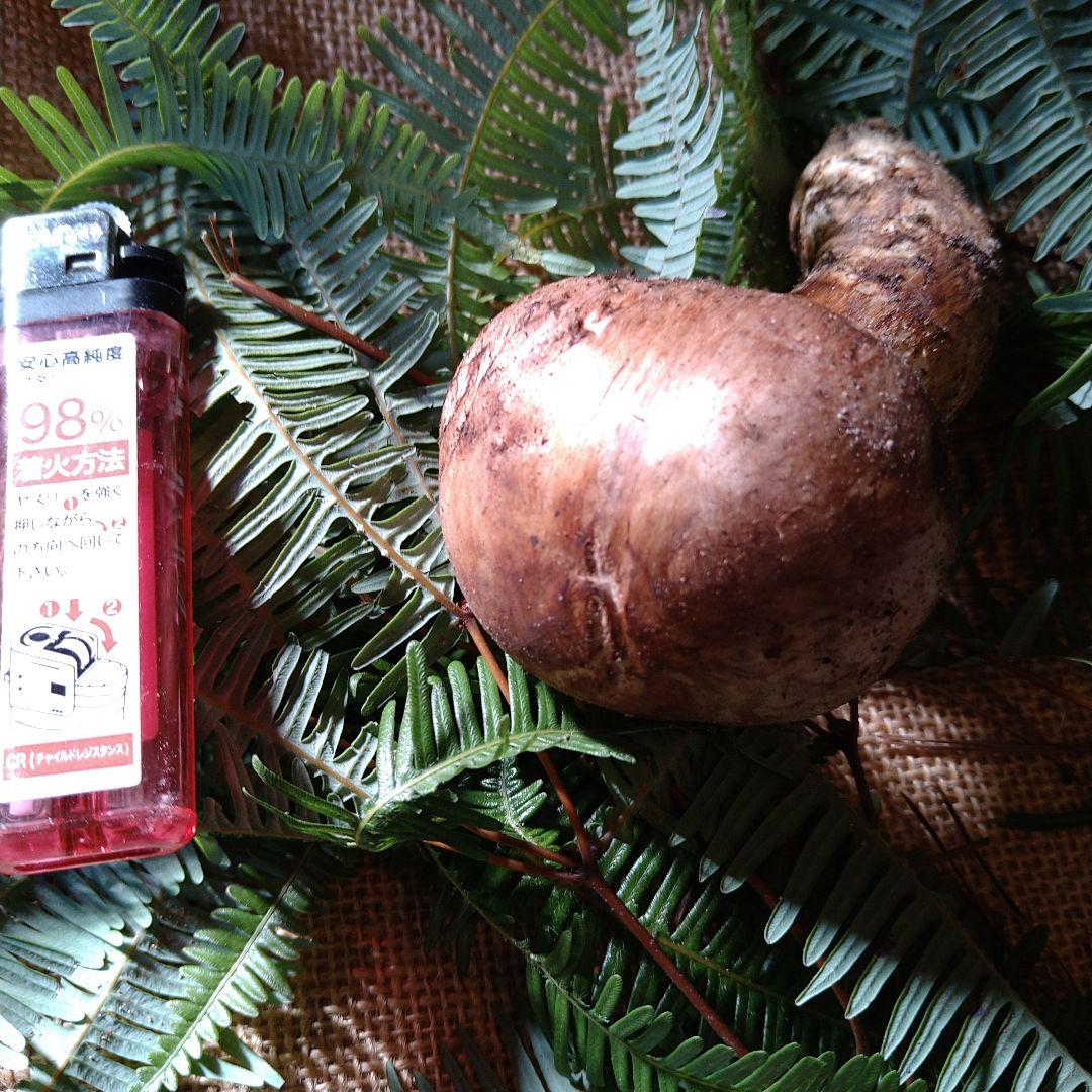 なおや様　広島県産　松茸