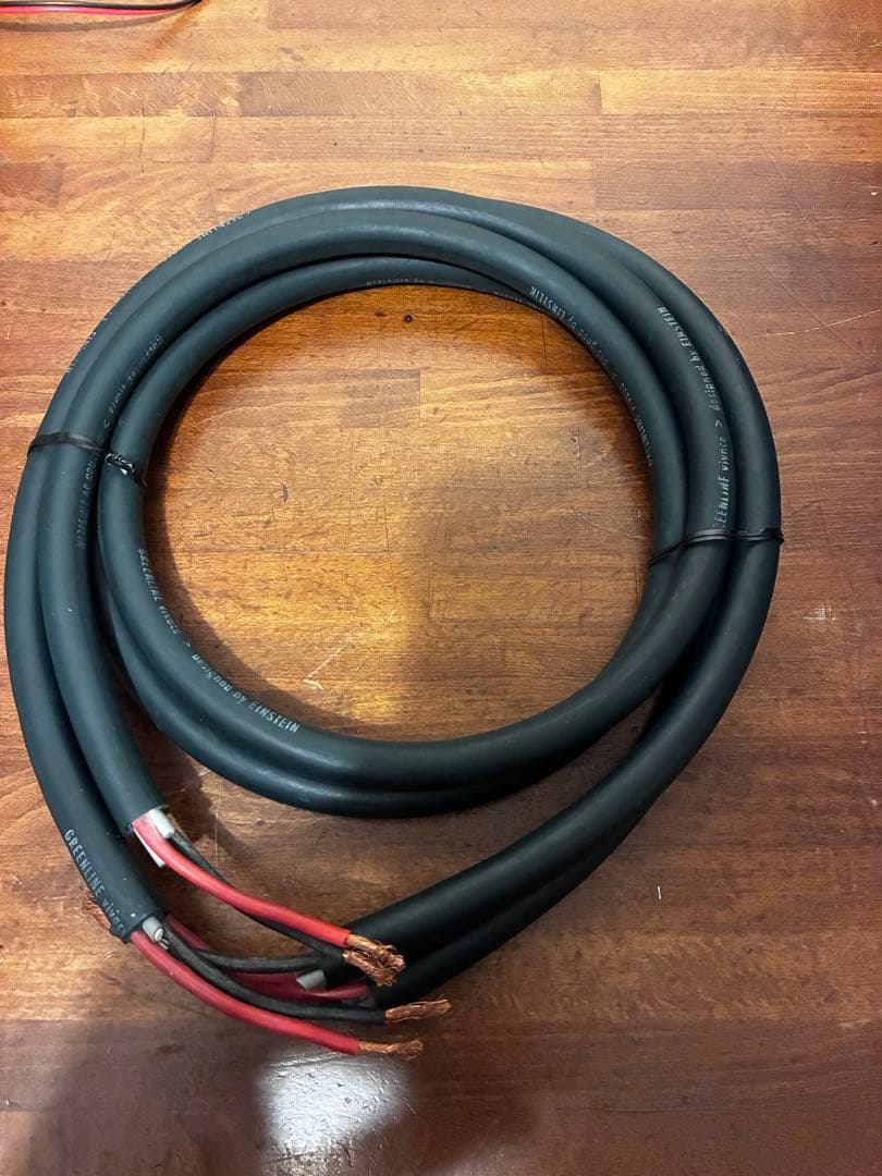 Einstein アインシュタイン GREENLINE ペア 約1.5m