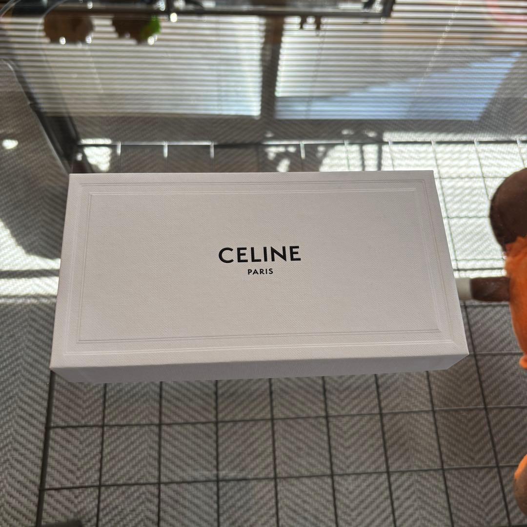 CELINE セリーヌ トリオンフ 01 サングラス / アセテート