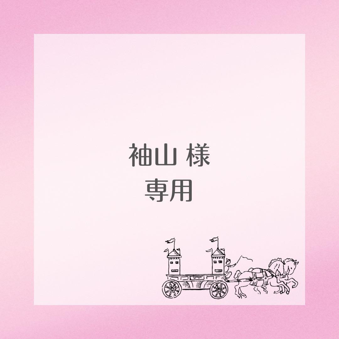 【袖山】アリエル風ウィッグ