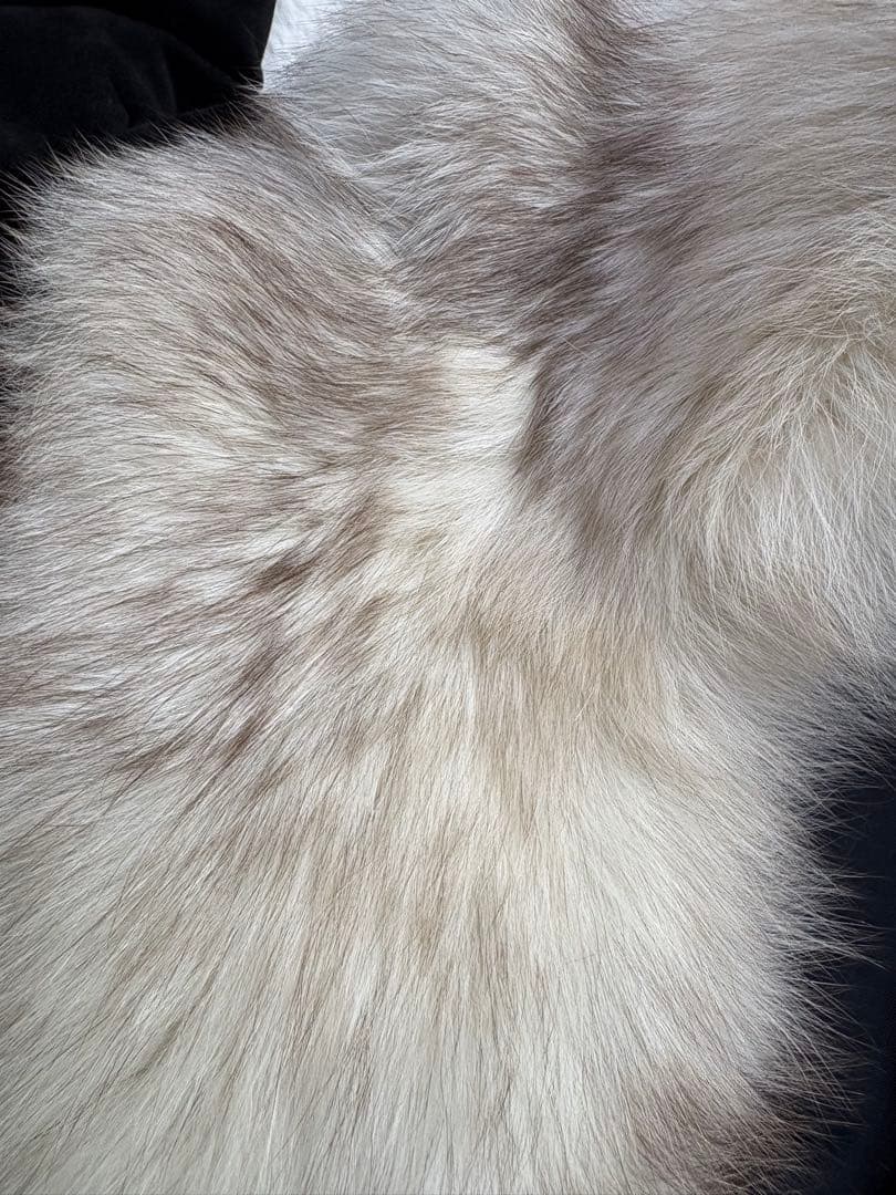 【極美品/11号】高級リアルフォックスファー×本革スエード ロングコート 黒