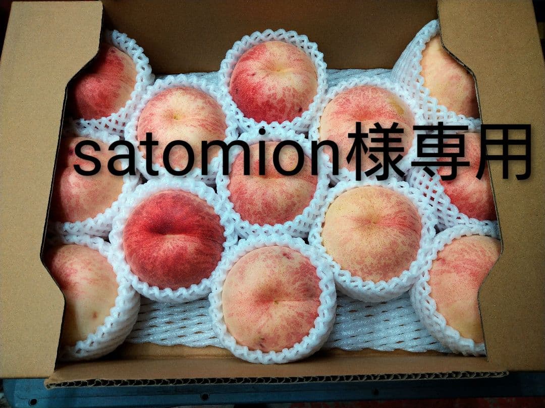 硬い桃山形県産(CX／シーエックス)専用