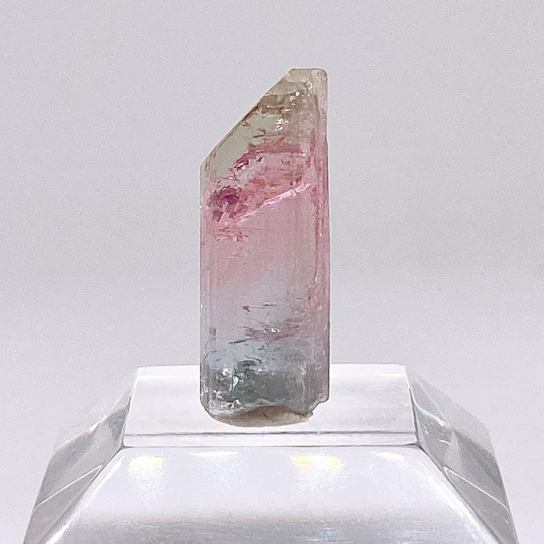 トルマリン　トリカラー　原石　鉱物標本　460