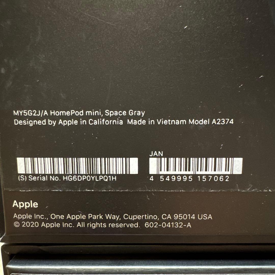 Apple Pod Mini 2台セット