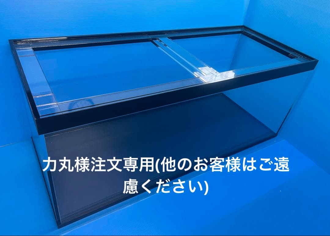 力丸様注文専用(他のお客様はご遠慮ください)
