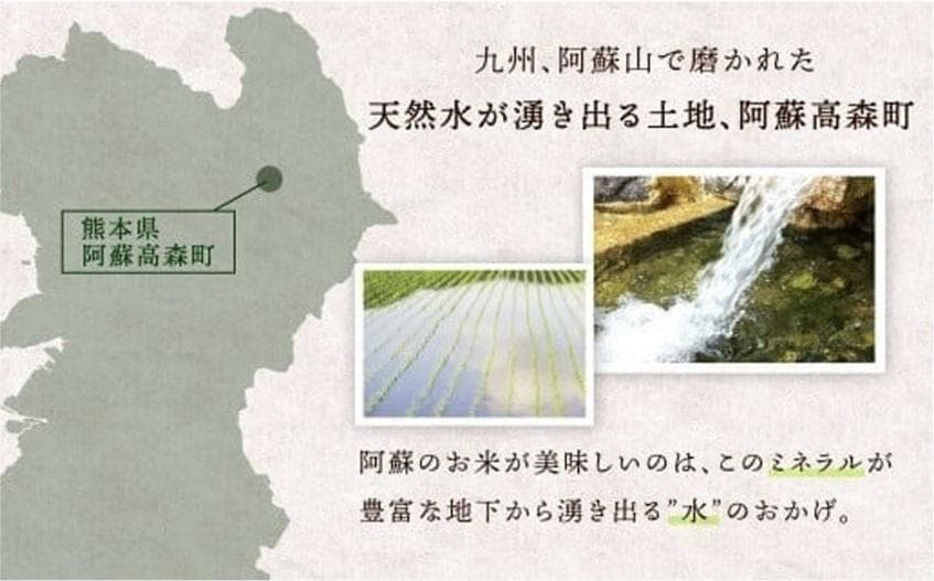 米 令和6年産 10kg (5kg×2袋) '25年3月精米 阿蘇だわら