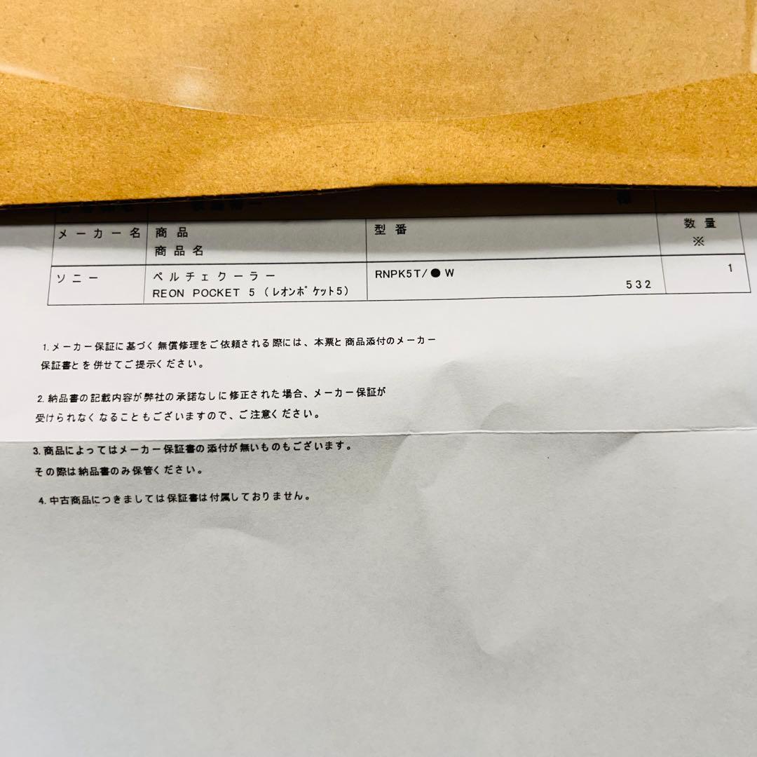 SONY REON POCKET 5 RNPK-5T ホワイト　レオンポケット5
