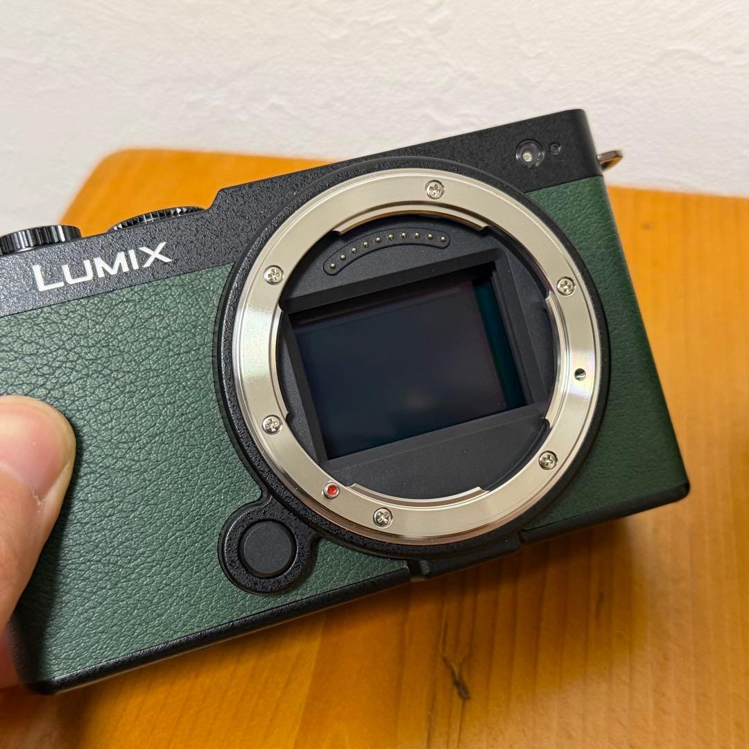 【箱無し/美品】LUMIX S9＆ルミックス S 20-60mm/3.5-5.6