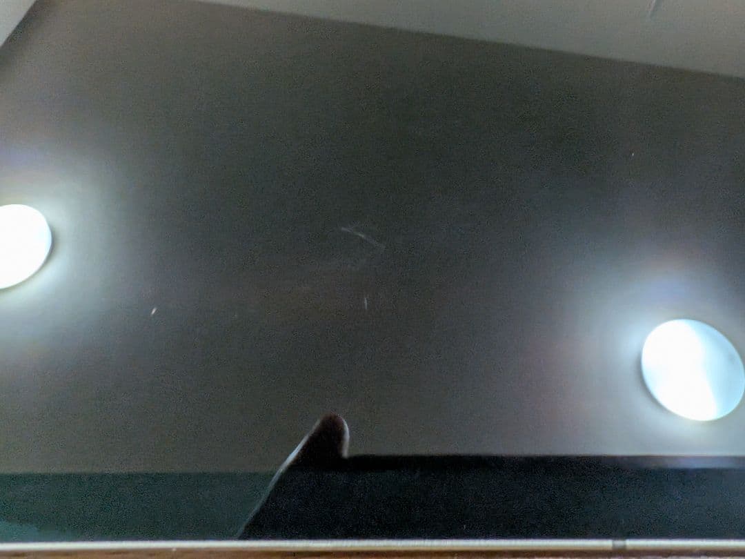 iPad Pro 12.9 第3世代 256GB セルラー